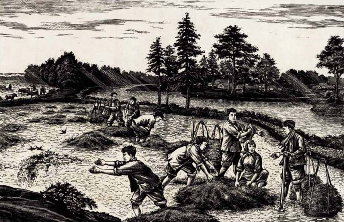 把青春献给农庄 1957年 中国美术馆藏_副本.jpg