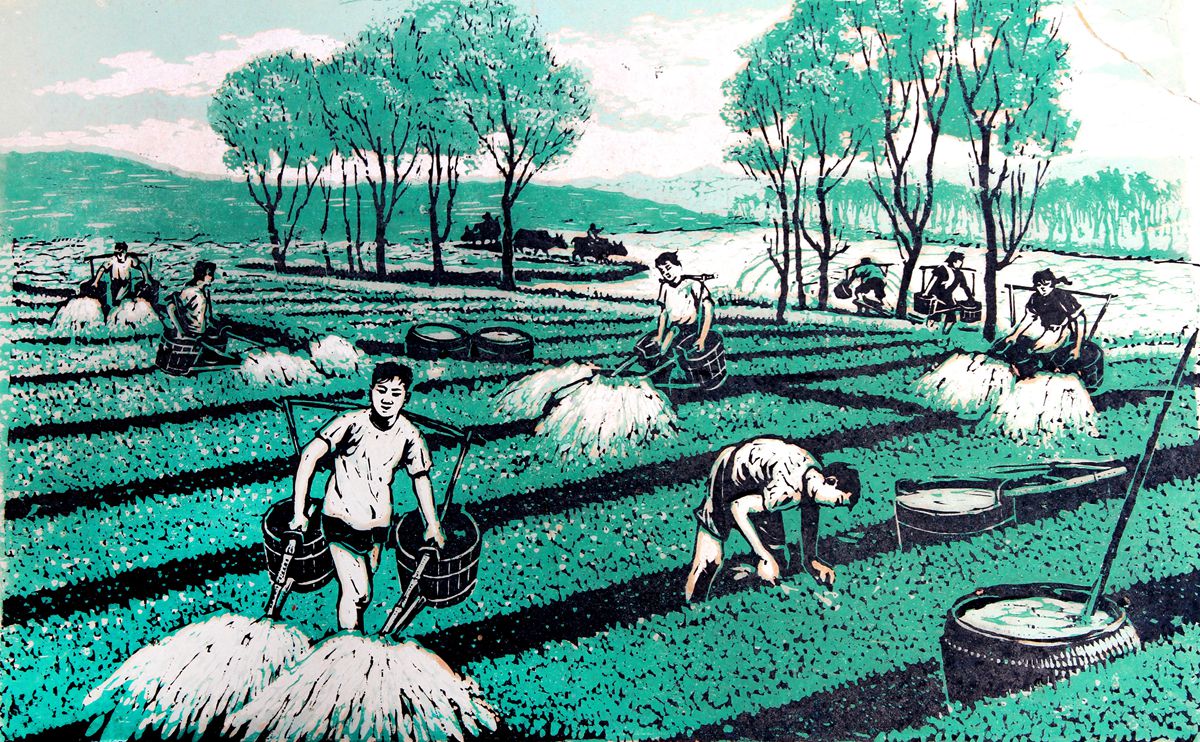 《勤浇菜园》 30x50.8cm 1960年_副本.jpg