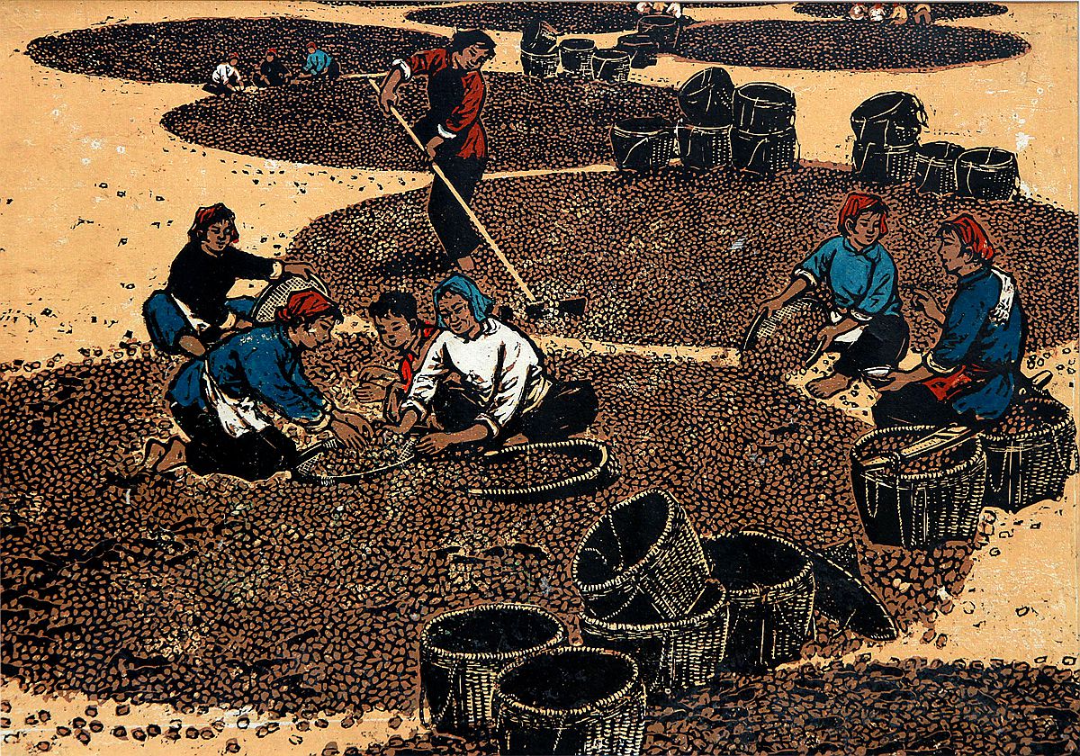 《选》 38.5x55.4cm 1959年（中国美术馆藏）_副本.jpg