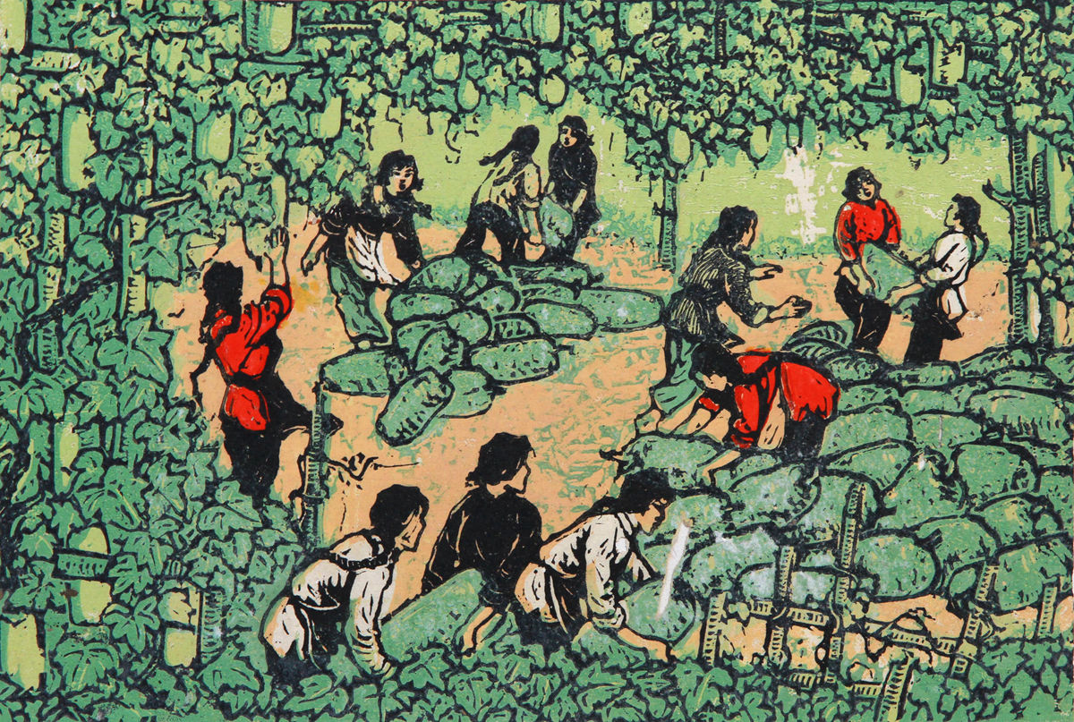 《冬瓜丰收》 29.5x19.5cm 1960年（中国美术馆藏）_副本.jpg